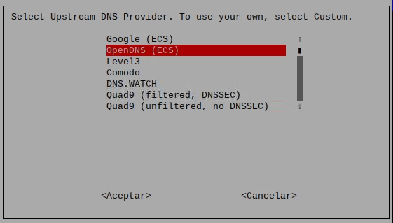 Elección de DNS