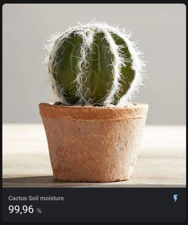Resultado